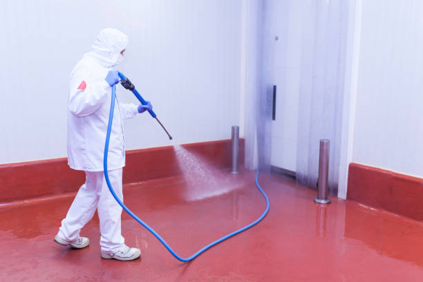 Best Winterizing Services  in Cocoa West, FL