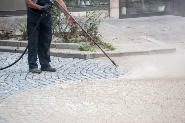 Best Gutter Cleaning  in Cocoa West, FL